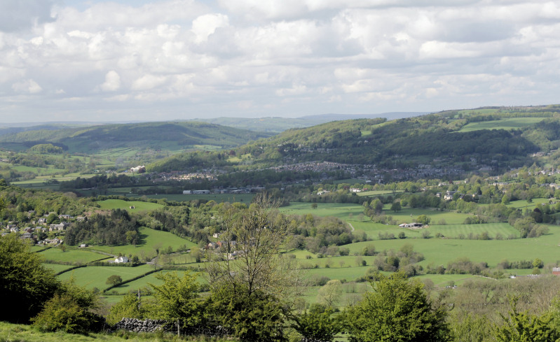 Lees Moor Wood Lees Moor Wood